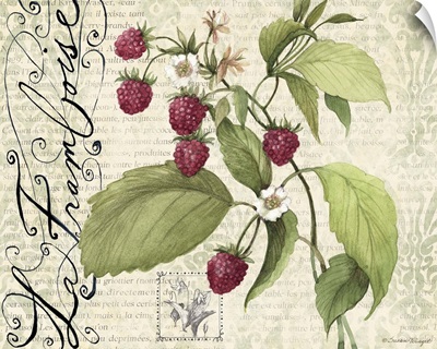 Botanical Raspberries