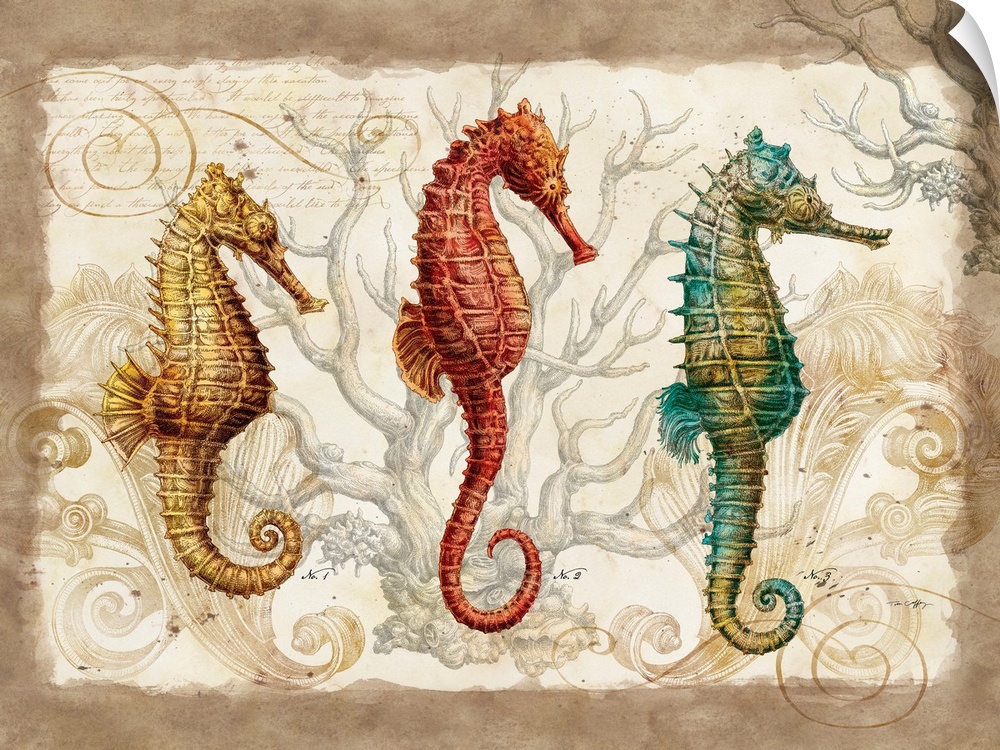 Large artwork of three different types of seahorses with coral drawn behind them and a soft brown border around the print.