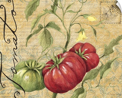 Botanical Tomato
