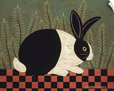 Checkerboard Bunny