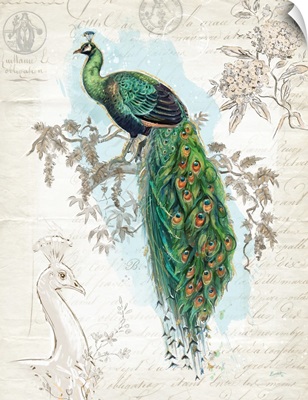 Classic Peacock on Cream