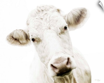 Cow V