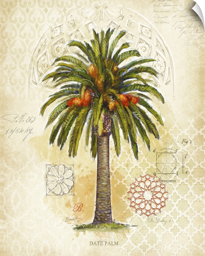 Classic treatment of the lovely palm tree, fine art look for any decor style.