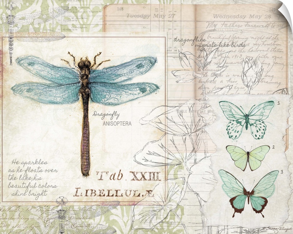 Botanical study of dragonfly adds elegant, nature-inspired touch to any room.