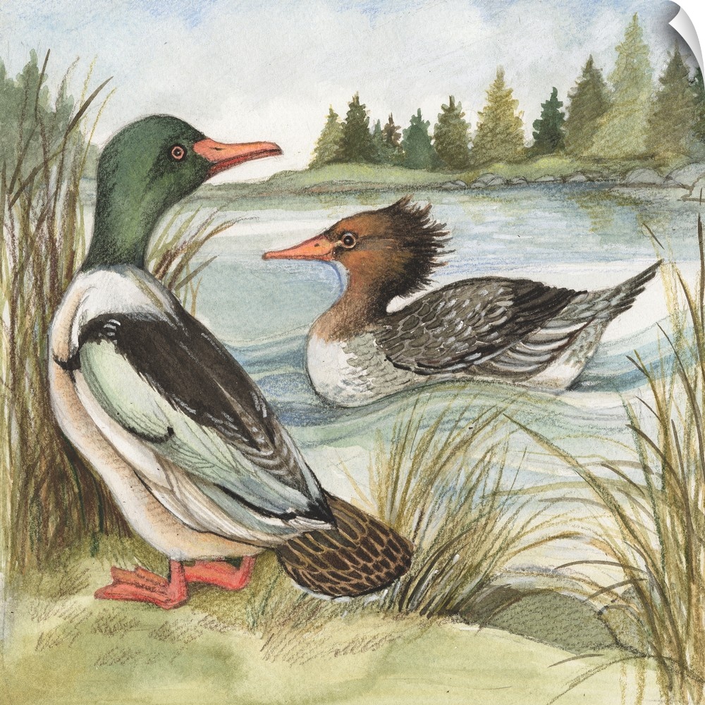 Lovely painterly treatment of Ducks at the Lake