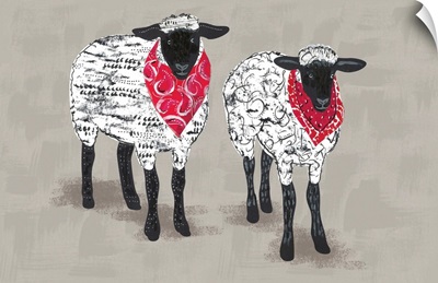 Farm Life - Sheep