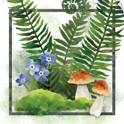 Ferns & Mushrooms