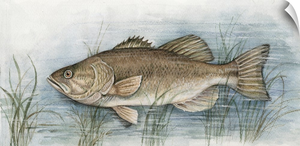 Fish painting is a great accent for your cabin, lake house or den!