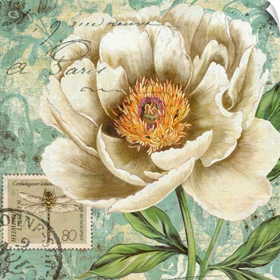 French Postcard - Floral