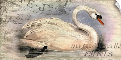 French Swan Motif III