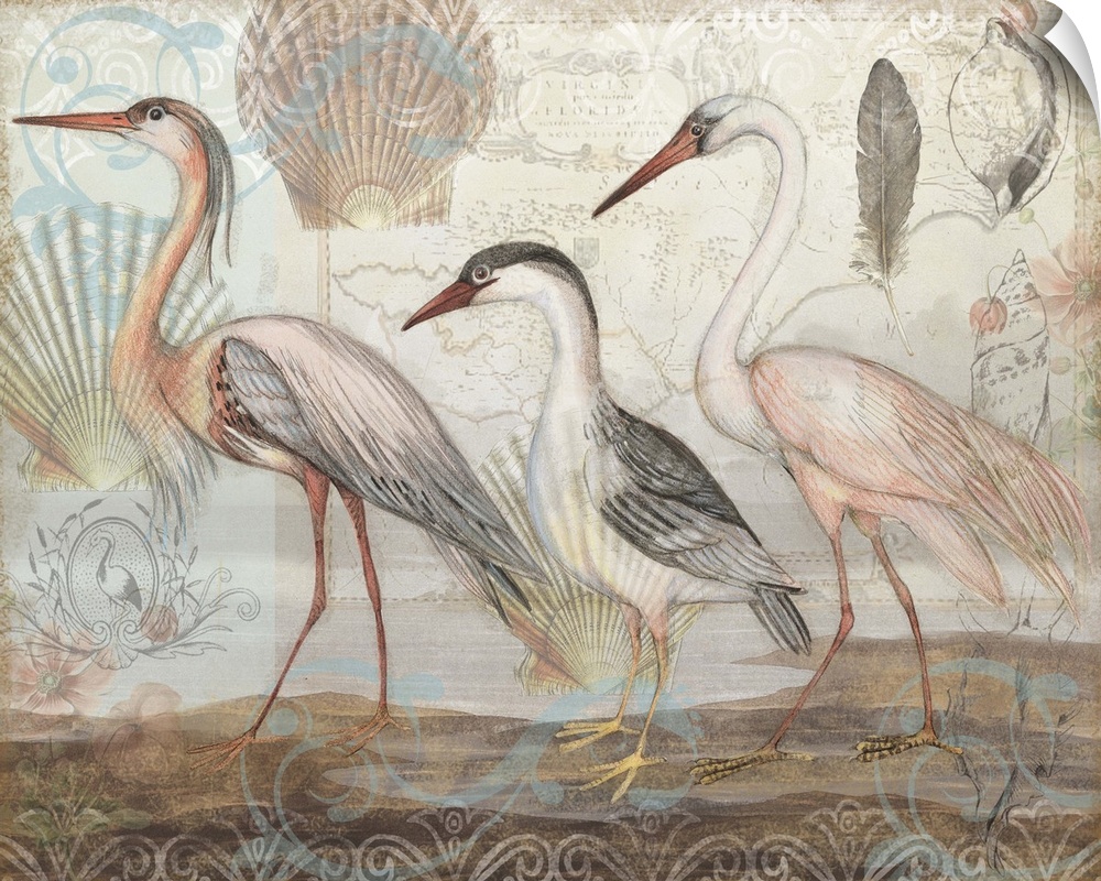 Stunning herons are spotlighted on a beach-inspired backdrop.