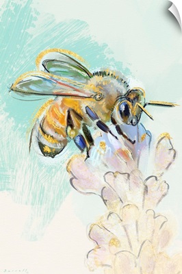 Honey Bee Study