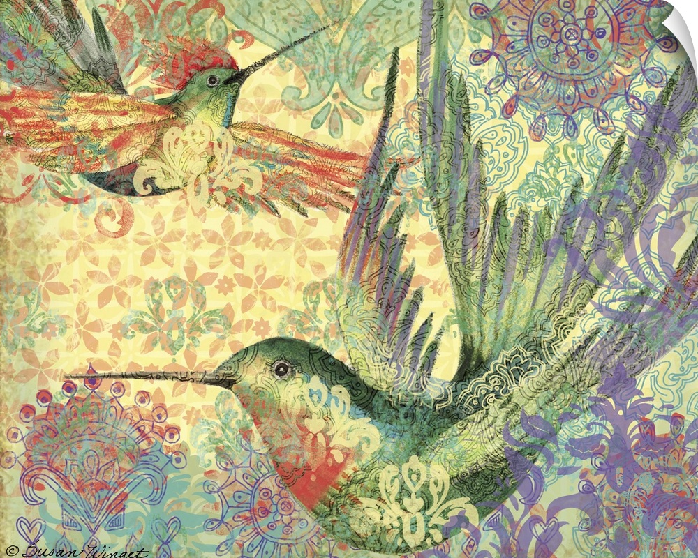Stunning hummingbird with intricate detail, pattern and color