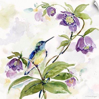 Hummingbird With Purple Flowers