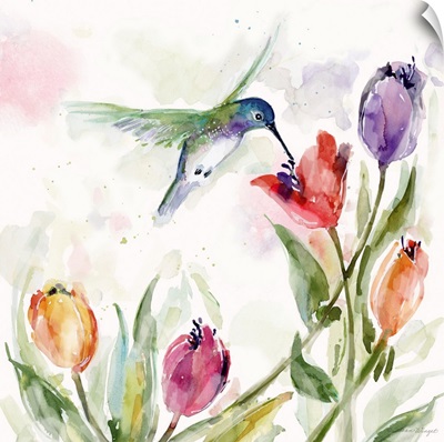 Hummingbird With Tulips