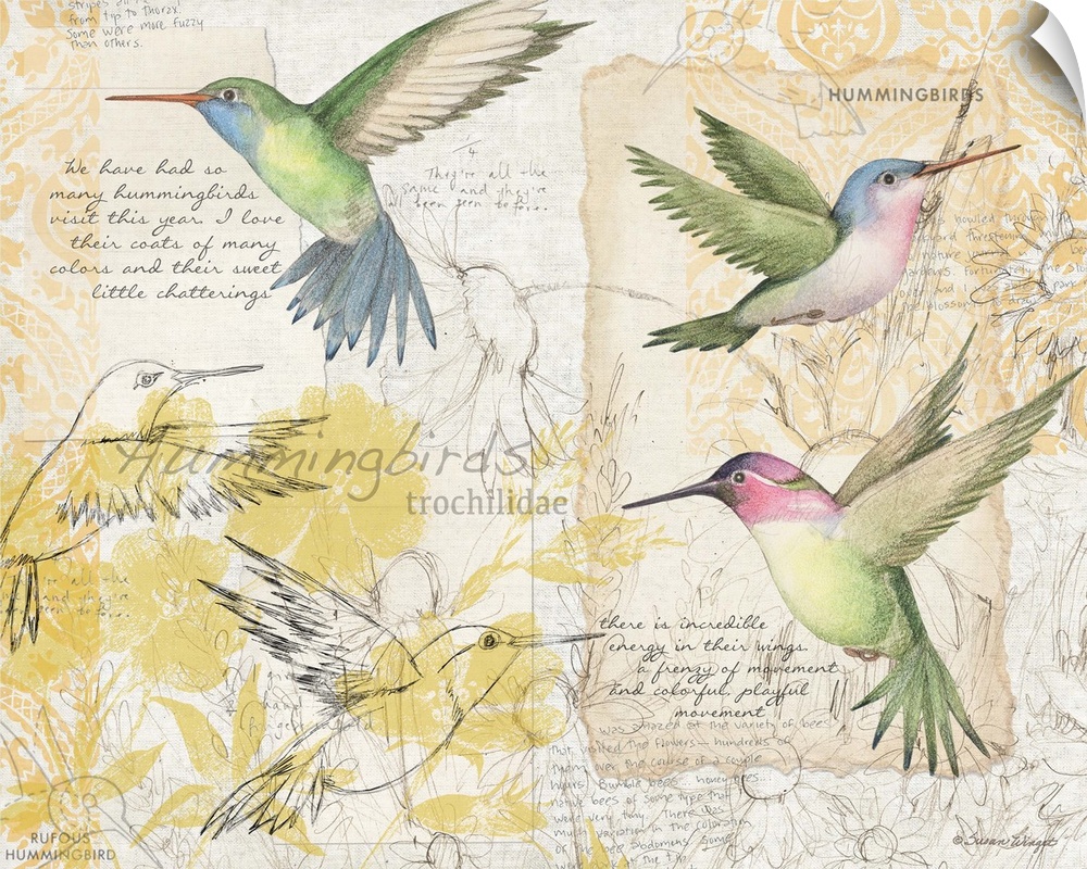 Botanical study of hummingbirds adds elegant, nature-inspired touch to any room.