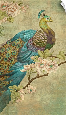 Vintage Peacock print by Andrea Haase