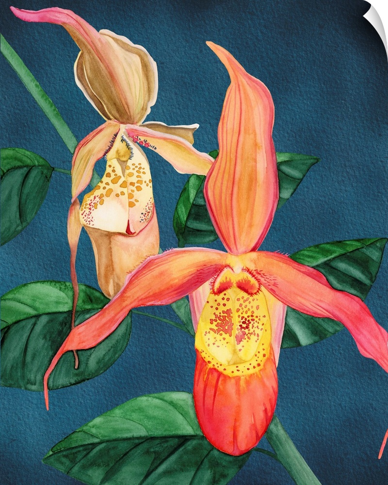 A botanical rendering of the showy orchid will add classic imagery into your home.