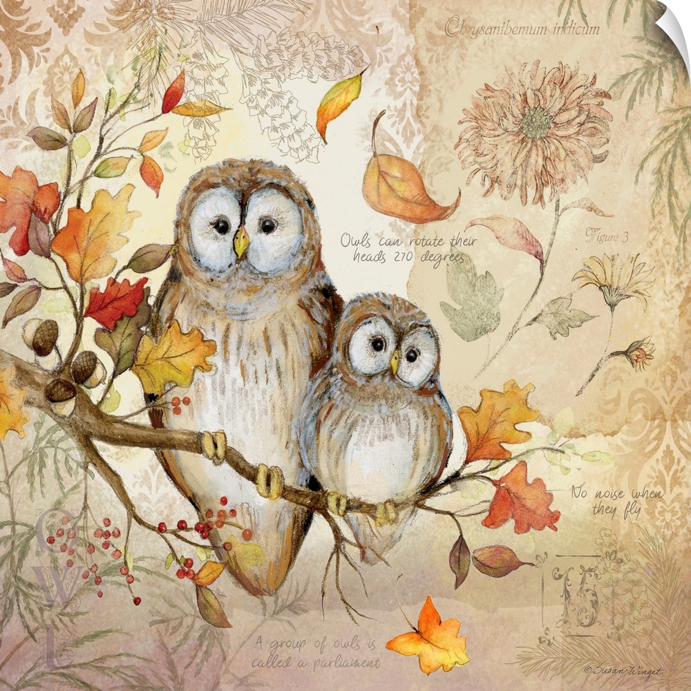 A nature botanical featuring a woodsy owl family!