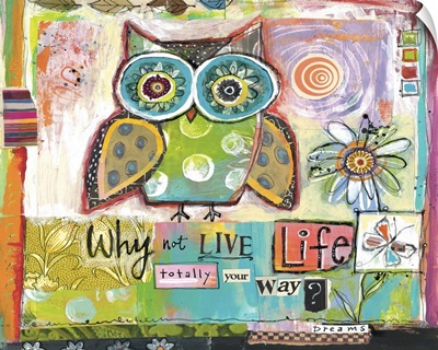 Owl - Live Life