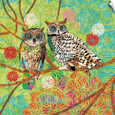 Owl Pair