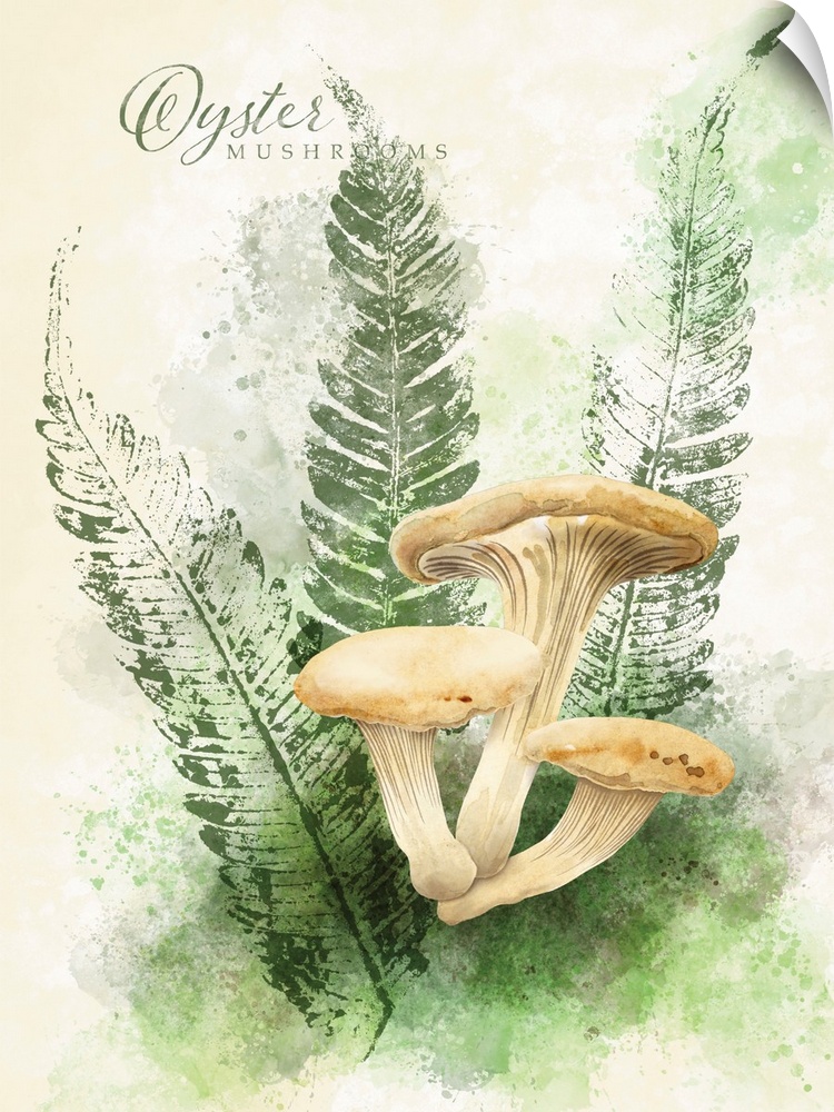 A lovely botanical treatment for the popular mushroom!