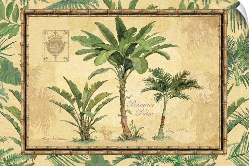 Bring the serenity and earthy palette of the tropics into your home.perfect for all décor