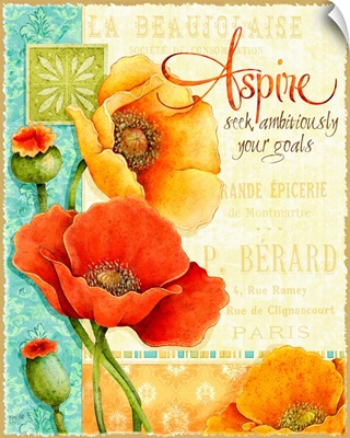 Poppies - Aspire