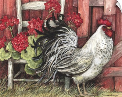 Red Barn Rooster
