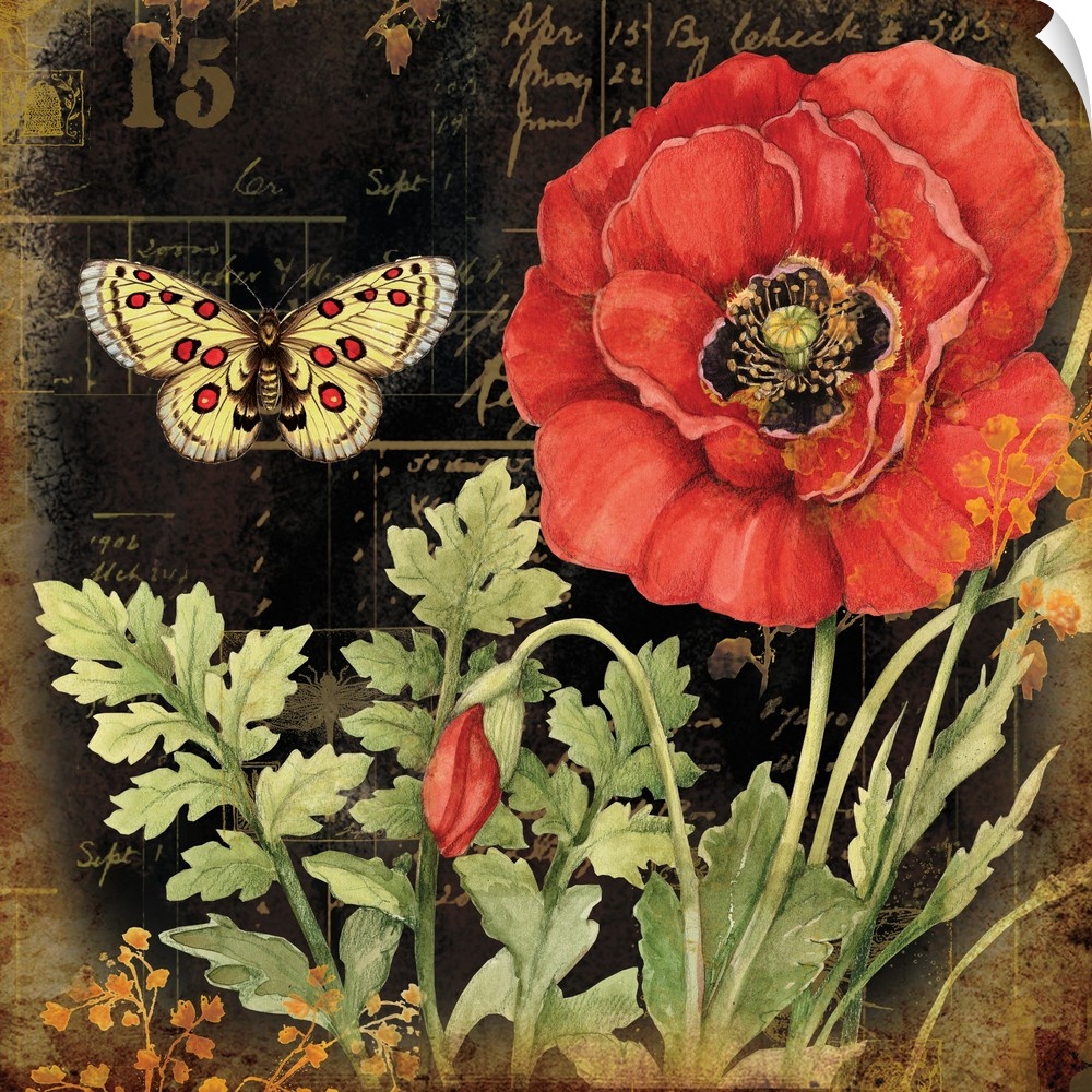 The bold and beautiful Poppy is the featured star of this art.