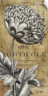 Revue Horticole Motif II Vertical