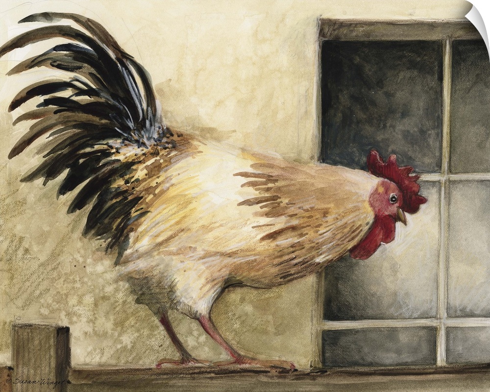 Sophisticated country rooster adds warmth to kitchens