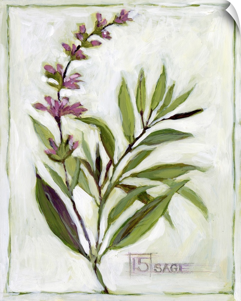 This sage sprig adds an elegant touch of the garden to any kitchen or dining area.