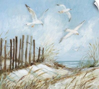 Sand Dunes With Seagulls