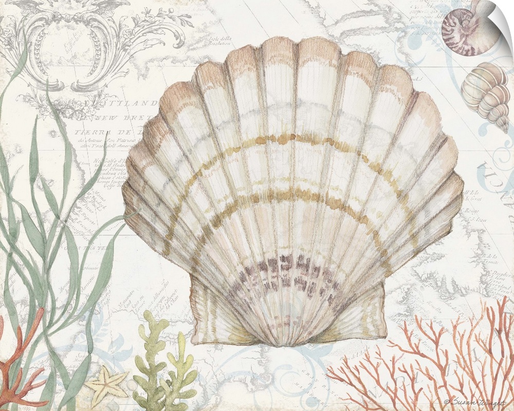 Beautiful imagery from the sea for a classic coastal decor.