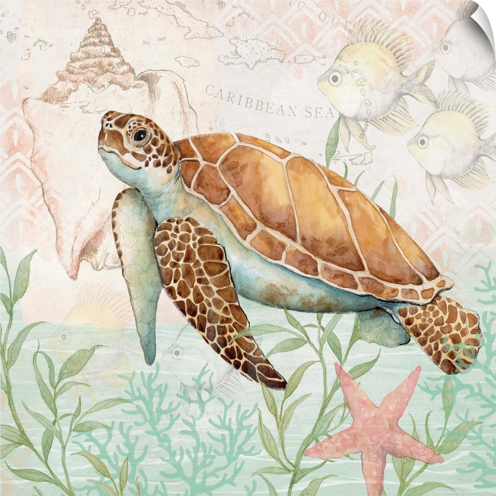 Softly hued scene featuring a striking sea turtle is a subtle and tasteful coastal statement.