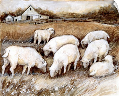 Sheep In The Field