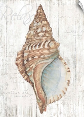 Shell on Wood