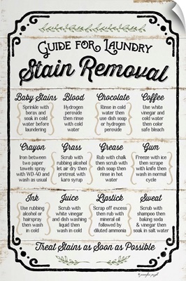 Stain Removal Guide