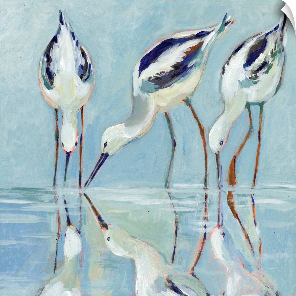 A stately and elegant of stilt birds linger at water's edge.