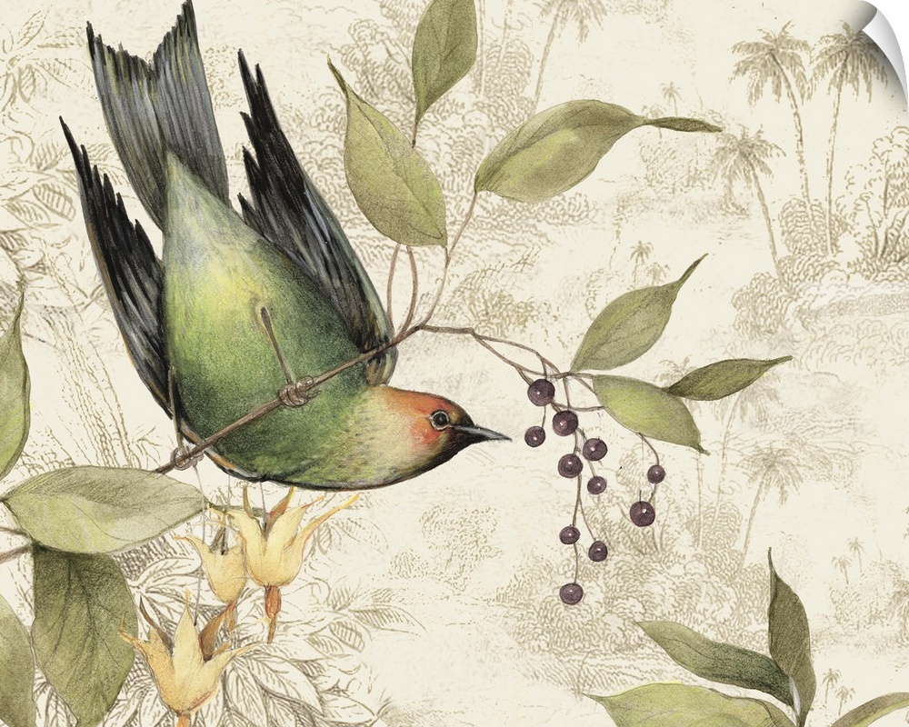 Elegant, botanical bird art adds a traditional elegance to any home.