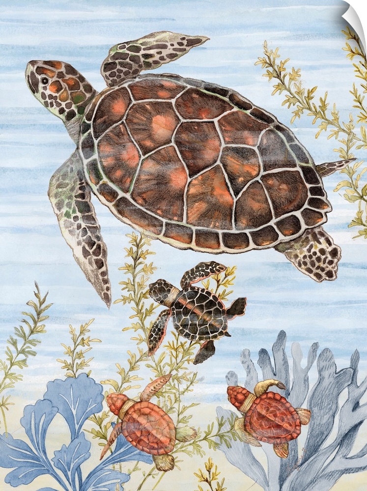 A colorful underwater scene with a charming turtle family is great for coastal decor.