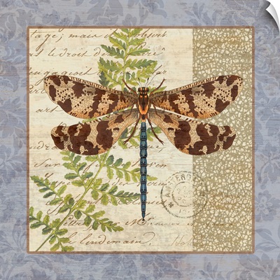 Vintage Hydrangea - Dragonfly