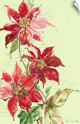 Watercolor Poinsettia