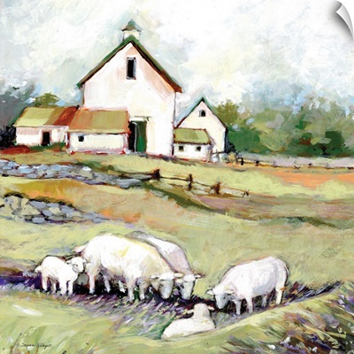 White Barn With Sheep