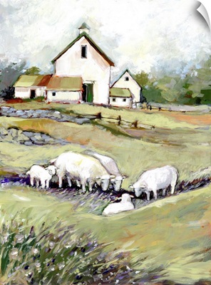White Barn With Sheep Vertical