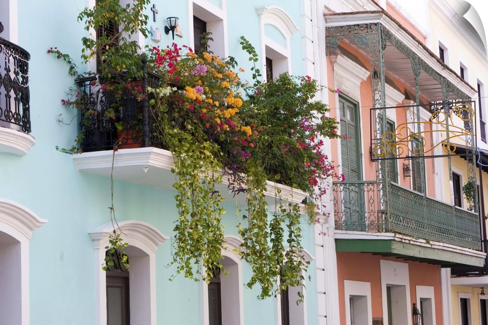 A balcony garden above the streets of Old San Juan, Puerto Rico.