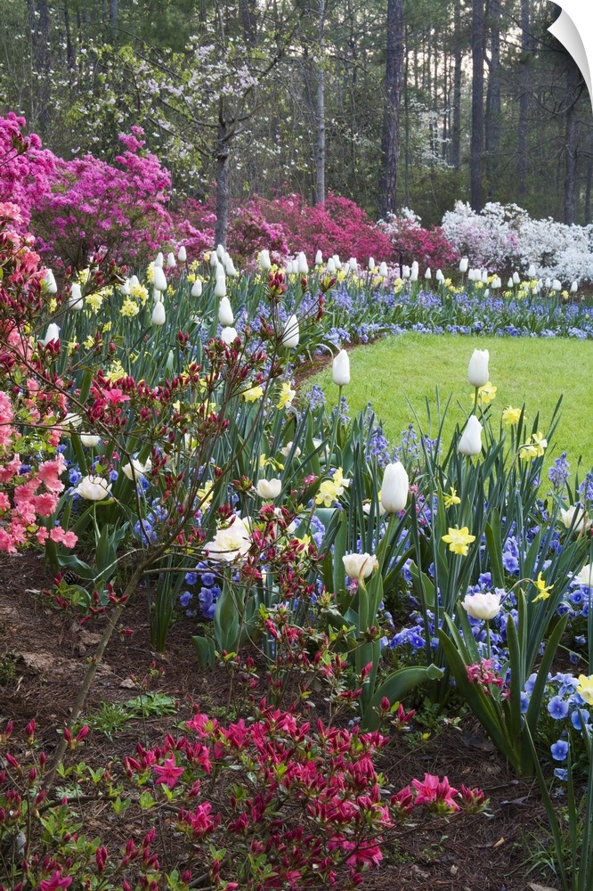 USA, Georgia, Pine Mountain. A border of spring flowers.