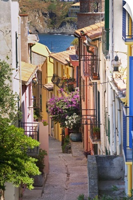 A Narrow Street In The Old Town, Collioure, Roussillon, France