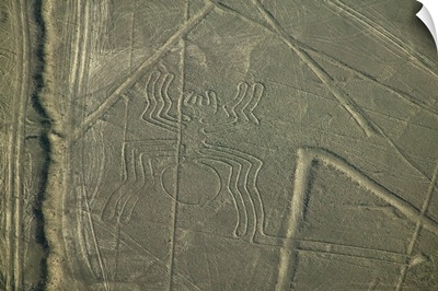 Aerial view of spider drawing, Nazca Lines, Peru